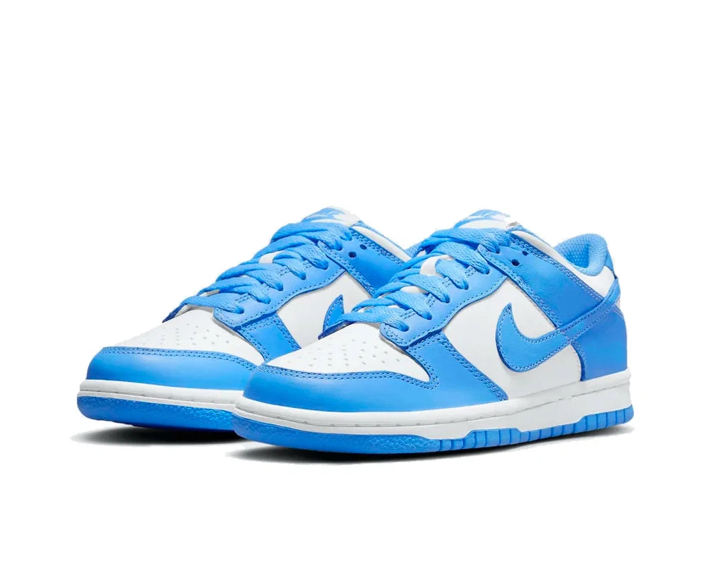 Nike Dunk Lows